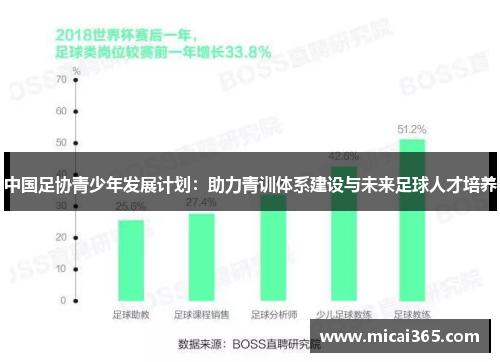 中国足协青少年发展计划：助力青训体系建设与未来足球人才培养